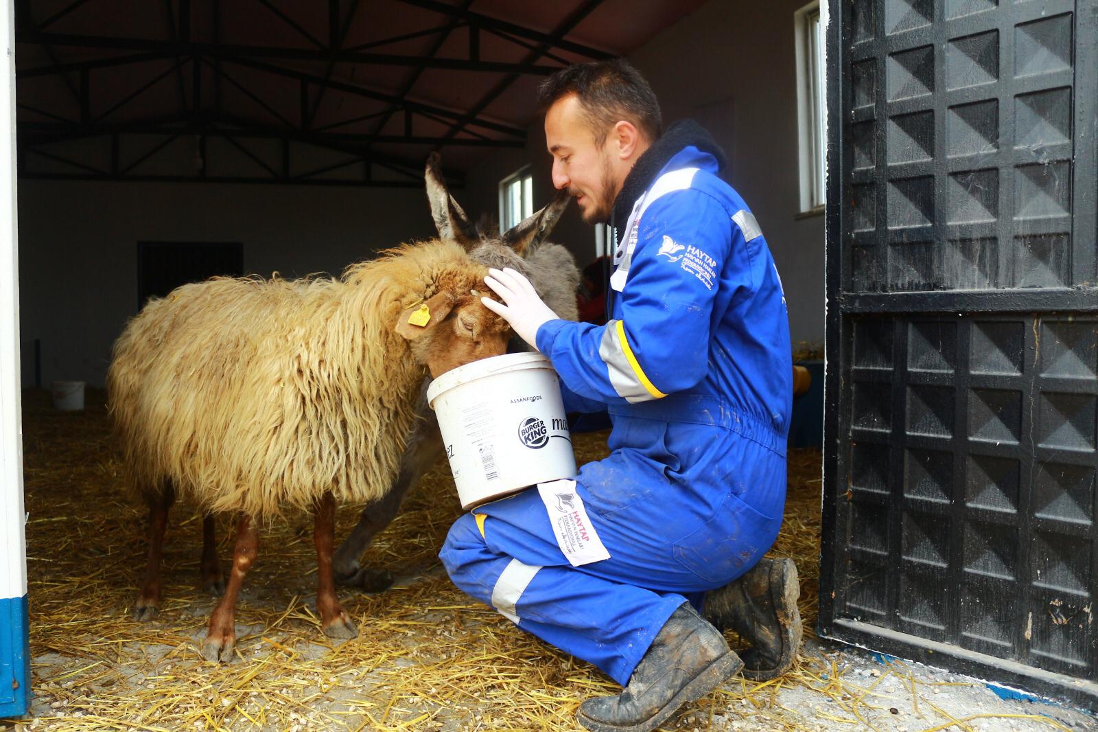 HAYTAP Retired  Animals Sanctuary